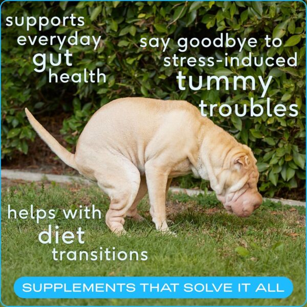Native Pet Probiotic for Dogs - Image 3